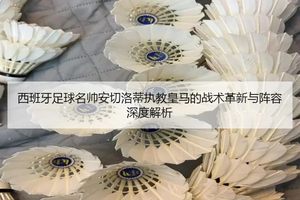 西班牙足球名帅安切洛蒂执教皇马的战术革新与阵容深度解析